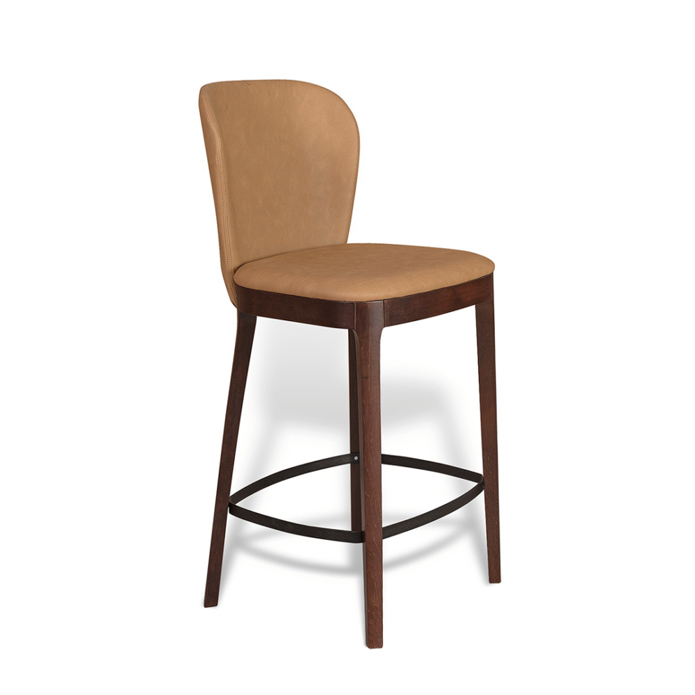 Barska stolica Modena