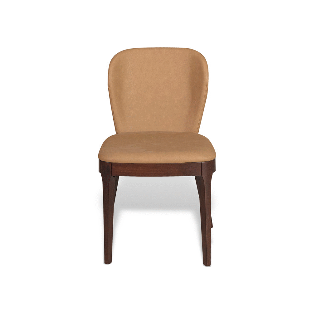 Stolica Modena - Slika 3